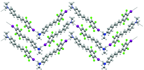 Figure 1. A ball-and-stick view down the crystallographic a axis of the infinite 1D halogen-bonded chains in the crystal packing of the self-complementary XB-based tecton 1. Colors as follows: C, dark gray; H, light gray; F, green; I, purple; N, blue; XB, dotted black lines.
